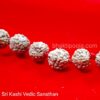 Original Rudraksha mala