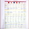 chakra kundalani chart