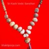 1 to 14 mukhi rudraksha