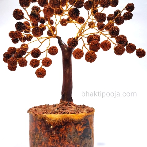 rudraksha beads tree