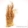 khus grass root