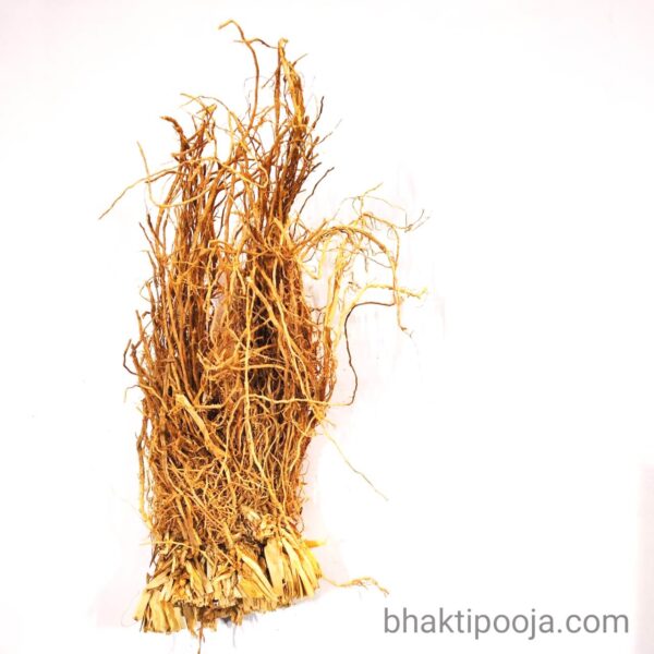 khus grass root