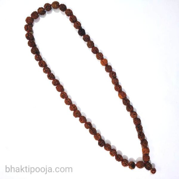 4 mukhi rudraksha kantha mala big nepali 54 beads