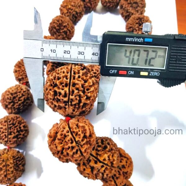 biggest size nepali rudraksha mala kantha 27 beads