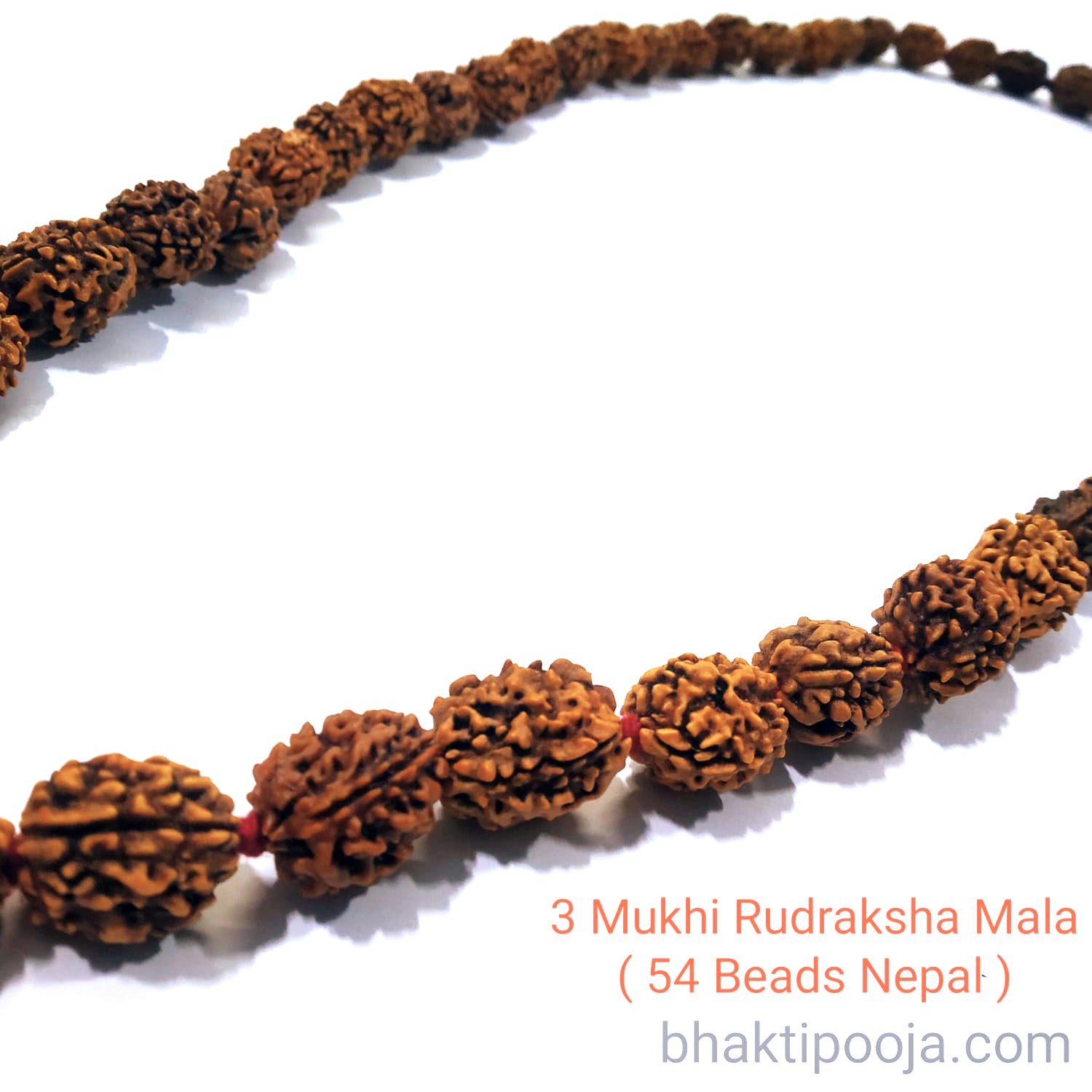 Authentic 3 Mukhi Rudraksha Bracelet | Spiritual Healing | Energizing Beads  | eBay