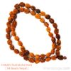 teen 3 Three mukhi Rudraksha Mala nepal