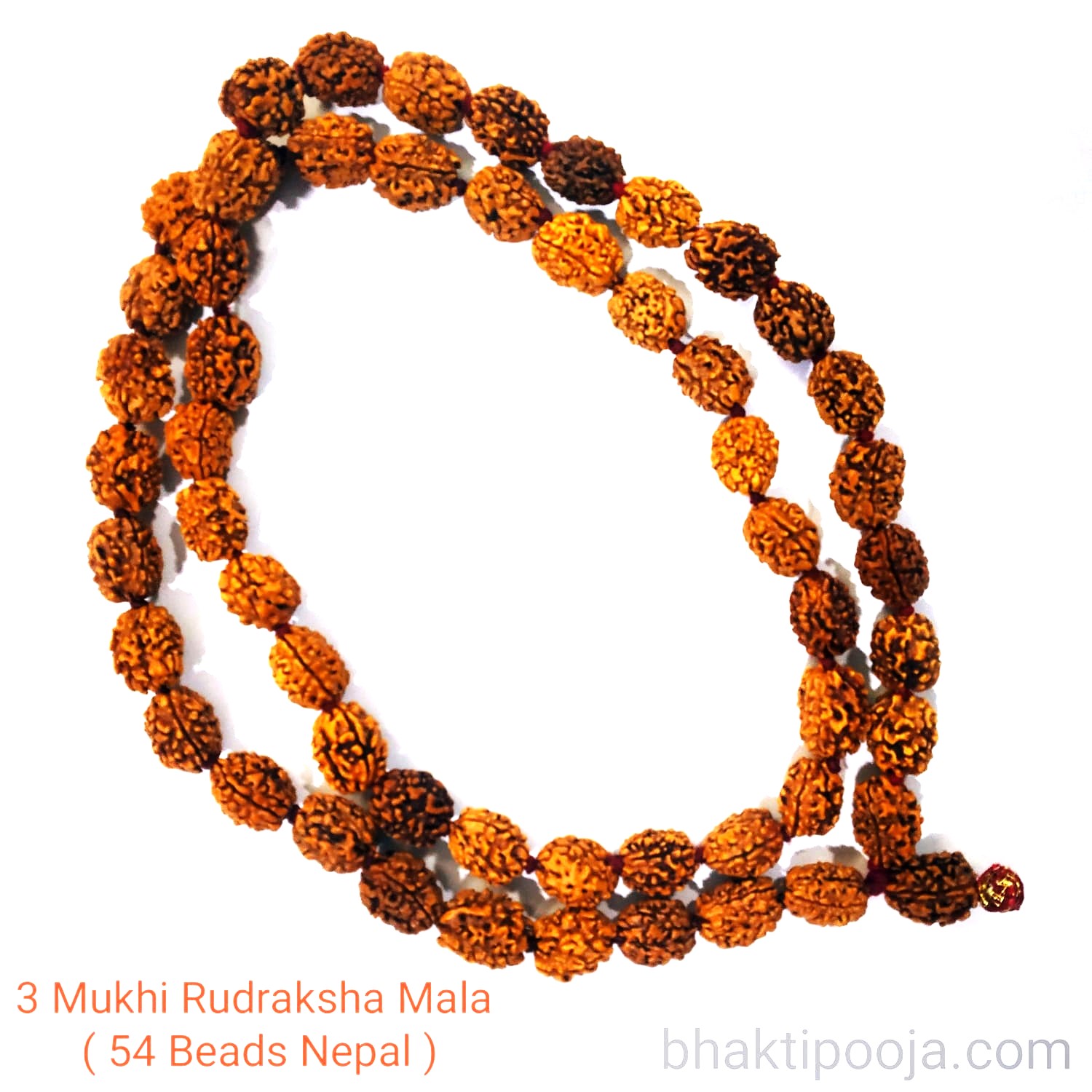 3 Mukhi Nepal Rudraksha beads bracelet - II - Rudra Centre