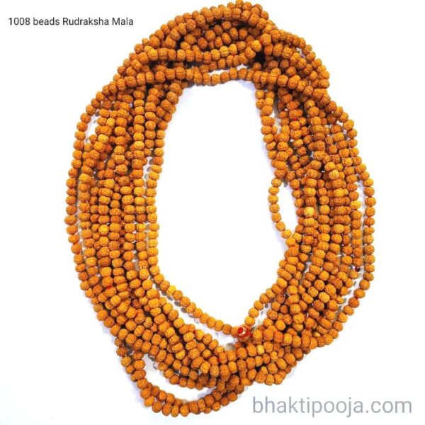 1008 beads Rudraksha Mala for concentration on Meditation