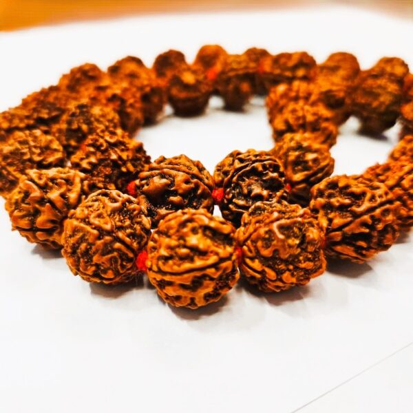 very small sixe panchmukhi nepali rudraksha mala, smallest nepali rudraksaha beads mala