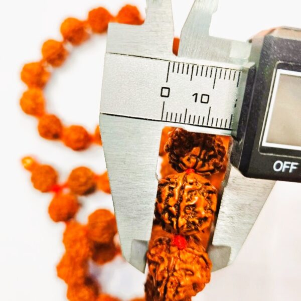 very small sixe panchmukhi nepali rudraksha mala, smallest nepali rudraksaha beads mala