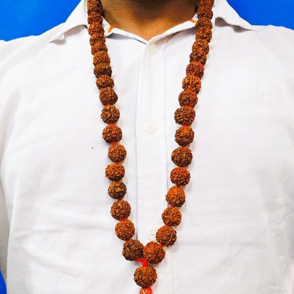 very small sixe panchmukhi nepali rudraksha mala, smallest nepali rudraksaha beads mala