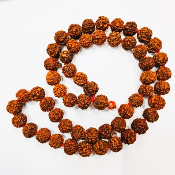 very small sixe panchmukhi nepali rudraksha mala, smallest nepali rudraksaha beads mala