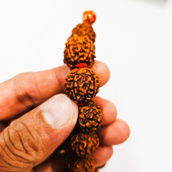 very small sixe panchmukhi nepali rudraksha mala, smallest nepali rudraksaha beads mala
