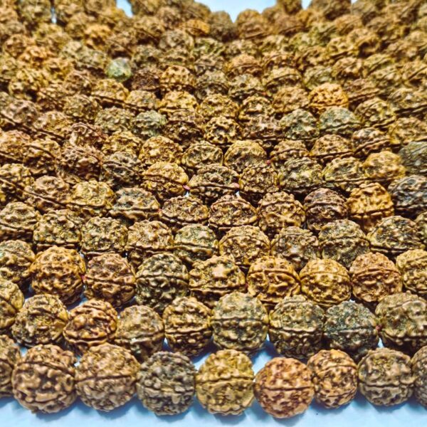 1008 beads smallest nepali beads rudraksha mala