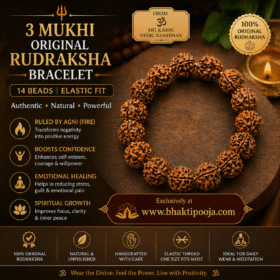 divine power of spirituality with this authentic 3 Mukhi Rudraksha Bracelet,