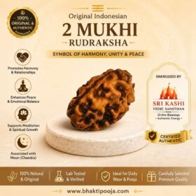original 2 mukhi abhimantrit rudrksha from sri kashi vedic sansthan