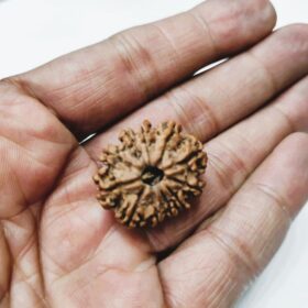 Rudraksha for Courage