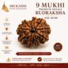 original and authenticate 9 mukhi rudraksha from kashi