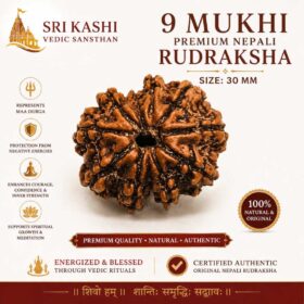 original and authenticate 9 mukhi rudraksha from kashi