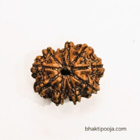 asli original 9 mukhi rudraksha nepali bead from kashi