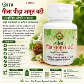 Pida Amrit Vati, Ayurvedic Pain Relief Tablets, Joint Pain Ayurvedic Medicine, Back Pain Relief Ayurveda, Knee Pain Support, Muscle Pain Ayurvedic Supplement, Gita Bhawan Ayurved Sansthan, Natural Joint Care, Ayurvedic Wellness Tablets, Body Pain Relief Herbal Medicine