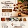 Mini Rudraksha Tree, 15 Beads Rudraksha Tree, Rudraksha Decor, Home Temple Decoration, Office Desk Spiritual Decor, Study Table Decor, Handmade Rudraksha Tree, Meditation Decor, Living Room Spiritual Showpiece, Vastu Decor, Divine Gift