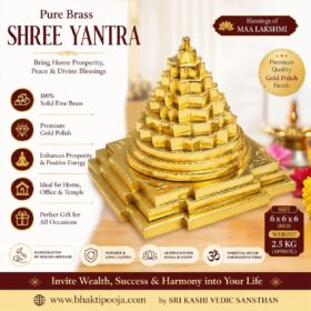 Pure Brass Shree Yantra, Meru Shri Yantra, Lakshmi Yantra Brass, Heavy Brass Shree Yantra, Gold Polish Shri Yantra, Vastu Yantra, Brass Sri Yantra for Home, 3D Shri Yantra, Premium Brass Yantra, Temple Shree Yantra, Spiritual Brass Decor, Wealth Prosperity Yantra, Handmade Brass Shree Yantra, Brass Lakshmi Yantra India, Pooja Yantra.