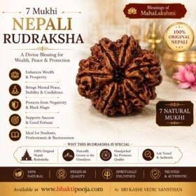 7 Mukhi Rudraksha, Nepali Rudraksha, Original Rudraksha, Natural Rudraksha Bead, MahaLakshmi Rudraksha, 7 Face Rudraksha, Authentic Nepali Rudraksha, Rudraksha for Wealth, Prosperity Rudraksha, Meditation Rudraksha, Spiritual Rudraksha, Premium Nepali Rudraksha, Rudraksha for Pooja, Original 7 Mukhi Bead, Bhakti Pooja Rudraksha.