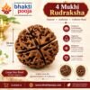4 Mukhi Rudraksha, 4 Mukhi Rudraksha 38mm, 4 Mukhi Rudraksha Large Size, 4 Mukhi Rudraksha Big Bead, 4 Mukhi Rudraksha Collector Bead, Large Rudraksha Bead, Big Rudraksha, Natural 4 Mukhi Rudraksha, Original 4 Mukhi Rudraksha, 4 Mukhi Rudraksha for Japa, 4 Mukhi Rudraksha for Meditation, 4 Mukhi Rudraksha for Pooja, Collector Rudraksha, Rare Rudraksha Bead, Large Size Rudraksha, Rudraksha Spiritual Bead, Rudraksha Mala Bead, Natural Rudraksha Seed, Rudraksha for Spiritual Practice, Sri Kashi Vedic Sansthan, Bhakti Pooja, Buy 4 Mukhi Rudraksha Online, 38mm Rudraksha, Rudraksha Online India, bhaktipooja.com.