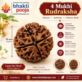 4 Mukhi Rudraksha, 4 Mukhi Rudraksha 38mm, 4 Mukhi Rudraksha Large Size, 4 Mukhi Rudraksha Big Bead, 4 Mukhi Rudraksha Collector Bead, Large Rudraksha Bead, Big Rudraksha, Natural 4 Mukhi Rudraksha, Original 4 Mukhi Rudraksha, 4 Mukhi Rudraksha for Japa, 4 Mukhi Rudraksha for Meditation, 4 Mukhi Rudraksha for Pooja, Collector Rudraksha, Rare Rudraksha Bead, Large Size Rudraksha, Rudraksha Spiritual Bead, Rudraksha Mala Bead, Natural Rudraksha Seed, Rudraksha for Spiritual Practice, Sri Kashi Vedic Sansthan, Bhakti Pooja, Buy 4 Mukhi Rudraksha Online, 38mm Rudraksha, Rudraksha Online India, bhaktipooja.com.