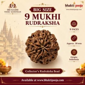 9 Mukhi Rudraksha, 9 Mukhi Rudraksha 30mm, Big Size 9 Mukhi Rudraksha, Indonesian 9 Mukhi Rudraksha, 9 Face Rudraksha Bead, Nine Mukhi Rudraksha, 9 Mukhi Rudraksha Collector Bead, Large Rudraksha Bead, Rare Rudraksha Collector Piece, Goddess Durga Rudraksha, Nav Mukhi Rudraksha, 9 Mukhi Rudraksha Original, Natural Rudraksha Bead, Rudraksha for Spiritual Worship, Rudraksha for Pooja, Rudraksha Collection, Rudraksha Beads Online India, Buy 9 Mukhi Rudraksha Online, Sri Kashi Vedic Sansthan, Bhakti Pooja, www.bhaktipooja.com.
