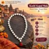 Kashi Kapal Mala, Kapal Mala, Mund Mala, Skull Bead Mala, Real Stone Kapal Mala, Stone Skull Mala, Kashi Mund Mala, Kapal Mala 40 Beads, 20mm Kapal Mala, 84cm Kapal Mala, Tantric Mala, Shaiva Sadhana Mala, Lord Shiva Spiritual Mala, Traditional Kapal Mala, Tantric Pooja Items, Tantra Sadhana Accessories, Spiritual Meditation Mala, Skull Beads Necklace, Real Stone Beads Mala, Kapal Mala for Sadhana, Kashi Spiritual Products, Varanasi Religious Items, Hindu Tantric Accessories, Kapal Mala Online India, Buy Kapal Mala Online, Sri Kashi Vedic Sansthan, Bhakti Pooja, bhaktipooja.com.